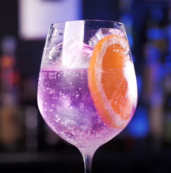 Chameleon Gin Tonic